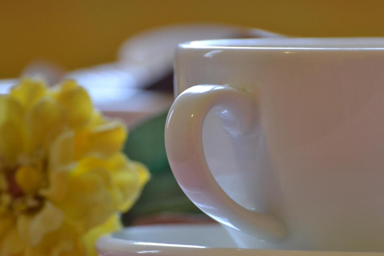 Bed and Breakfast Ai Giardini del Te Mantova Esterno foto